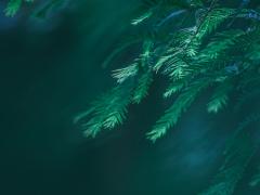 肝火旺长痘痘咋办