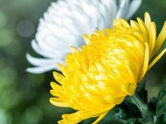 饭前怎样做可以减肥