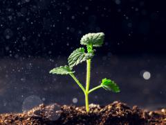 水光针多久需要打一次