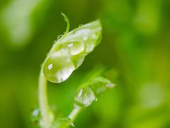 冬天可以去角质吗,冬天去角质好吗,冬天能去角质吗