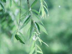 冬天可以去角质吗,冬天去角质好吗,冬天能去角质吗