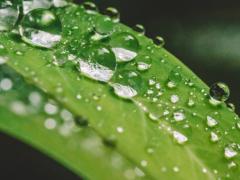 长青春痘怎么办什么办法可以消除