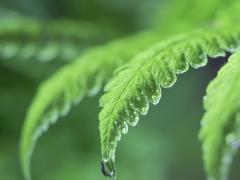 胃寒的症状 胃寒的原因主要有哪些