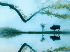 肺好头发就好吗