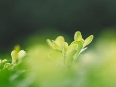 月经期间吃东西不会胖是真的吗