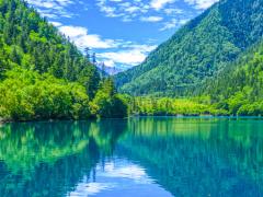 小孩可不可以吃秋葵